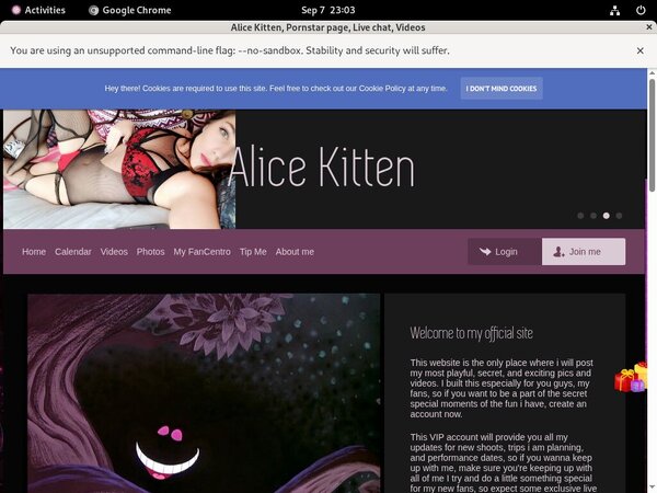 AliceKitten Passwords 2018