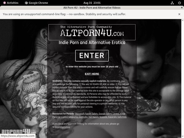 Alt Porn 4 U Free Accounts And Passwords