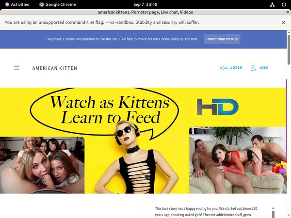 Americankitten.com Working Pass