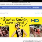 Americankittens Online Videos