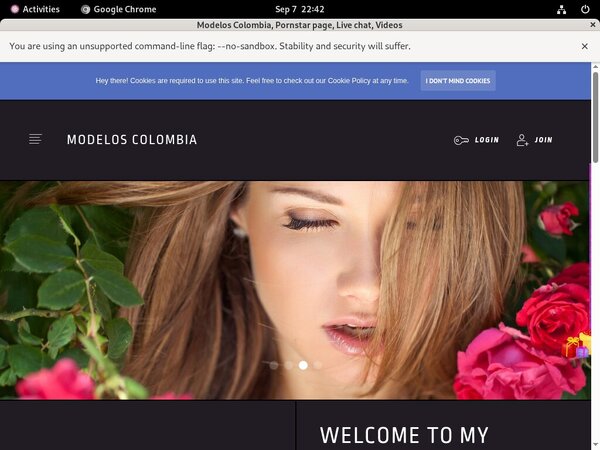 Andycase.modelcentro.comaccounts