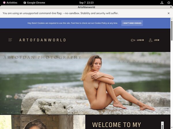 Artofdanworld.com Com Discount Trial