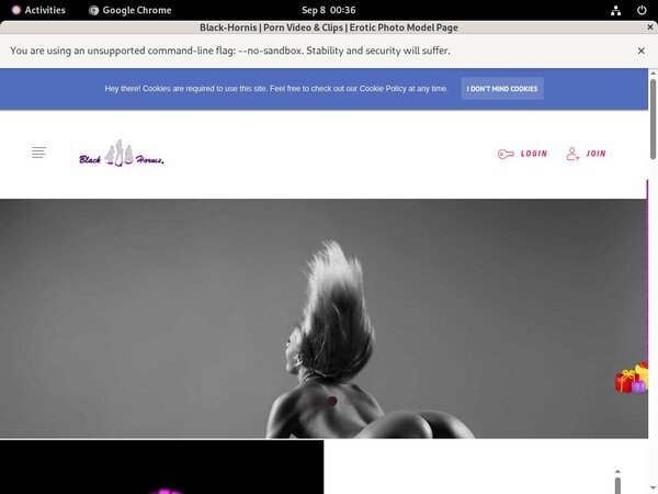 BLACKHORNIS Password Torrent