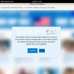 Bad Puppy Logins 2018 Bad Puppy Logins 2018