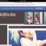BaddBirdie Account Passwords BaddBirdie Account Passwords