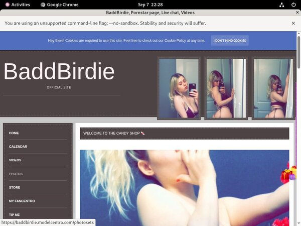BaddBirdie Account Passwords