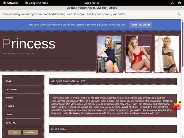 Cardboard.modelcentro.com Money
