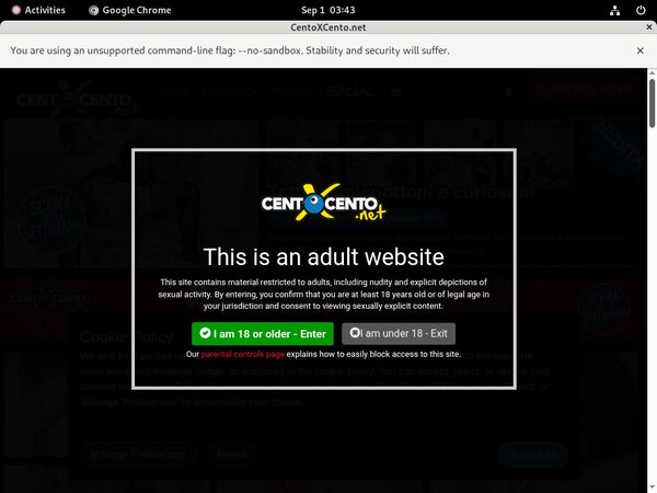Cento X Cento Account 2014