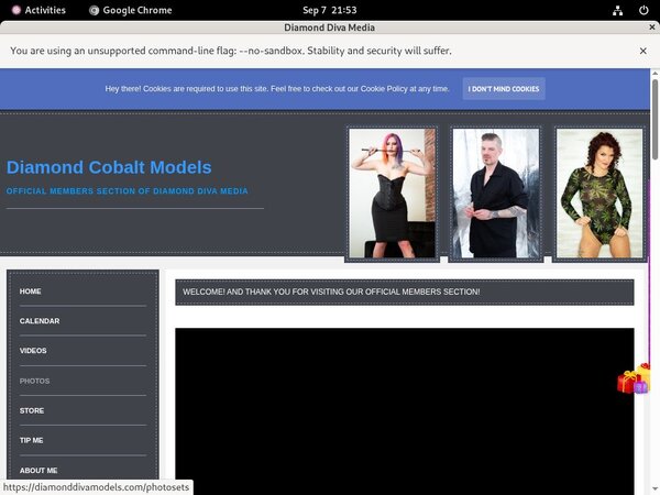 DiamondDivaMedia Pay Pal Account DiamondDivaMedia Pay Pal Account