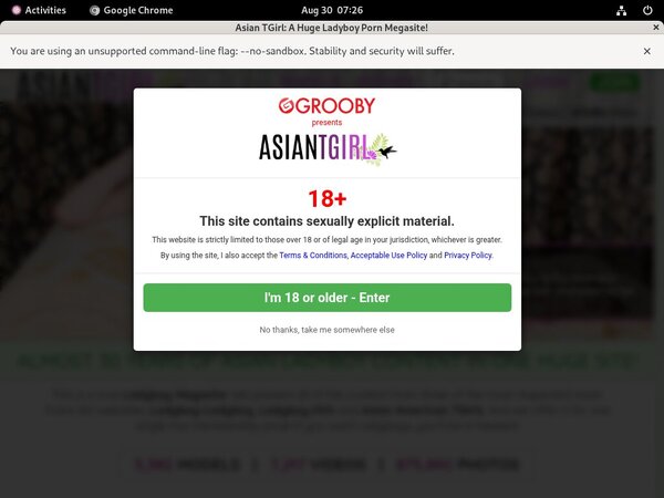 Does Ladyboy-ladyboy.com Use Paypal?