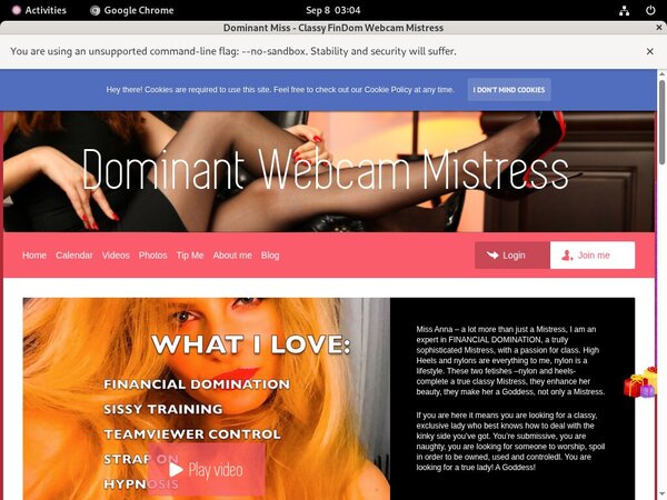 Dominant Miss - Classy FinDom Webcam Mistress Probiller