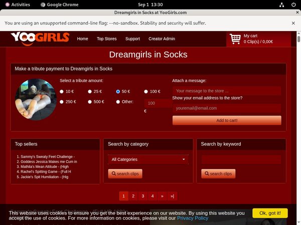 DreamgirlsInSocks Join By Direct Pay