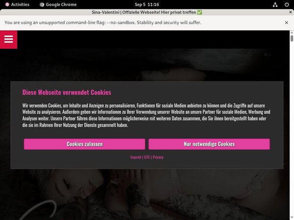 Free Accounts For Sina Valentini