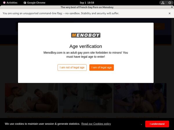 Free Meno Boy Hacked Passwords