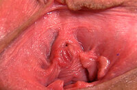 Gape My Pussy Hardcore s0 Gape My Pussy Hardcore s0