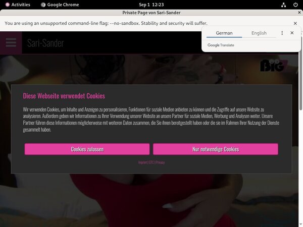 Gay Sari-sander.com