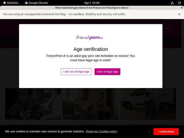Get Free French Porn Gay Membership