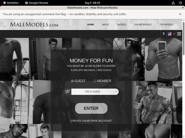 Get Male Models Account