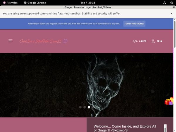 Ginger 2017 Ginger 2017