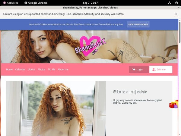 How To Access Noshamesg.modelcentro.com