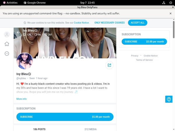 Ivy Bleu Accounts Working