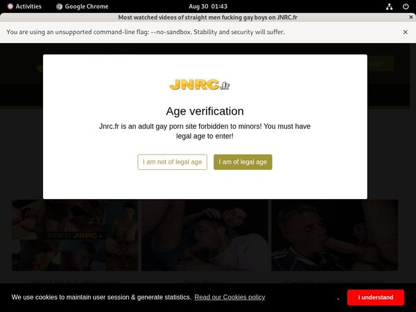 Jnrc.fr Pregnant