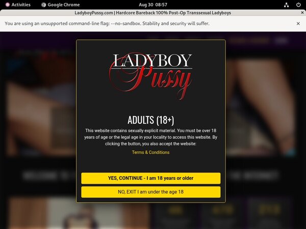 Ladyboy Pussy With Directpay