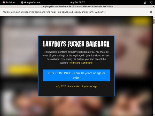 Ladyboys Fucked Bareback ??