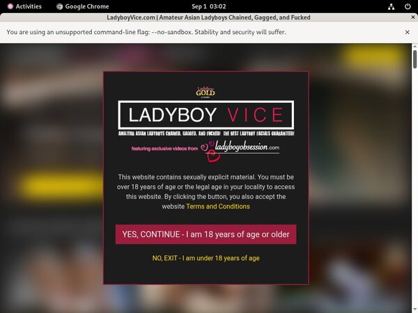 Ladyboyvice Discount Offer 2018