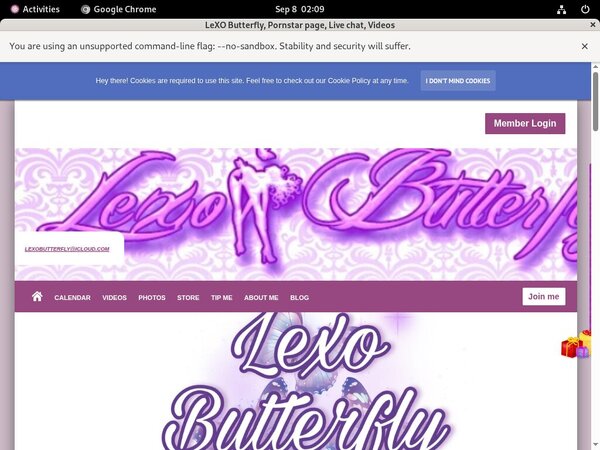 LeXO Butterfly Instagram LeXO Butterfly Instagram