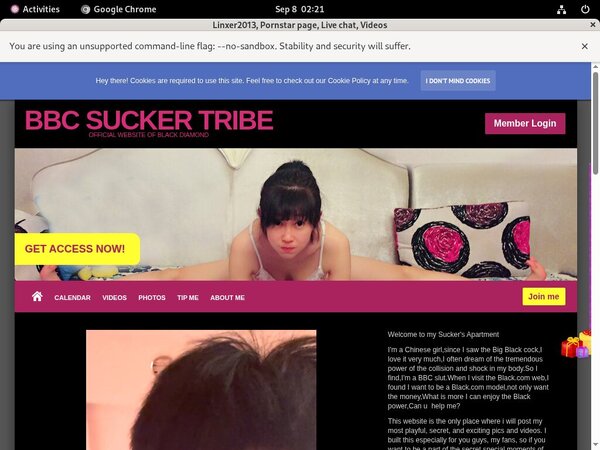 Linxer2013.modelcentro.com Free Mobile