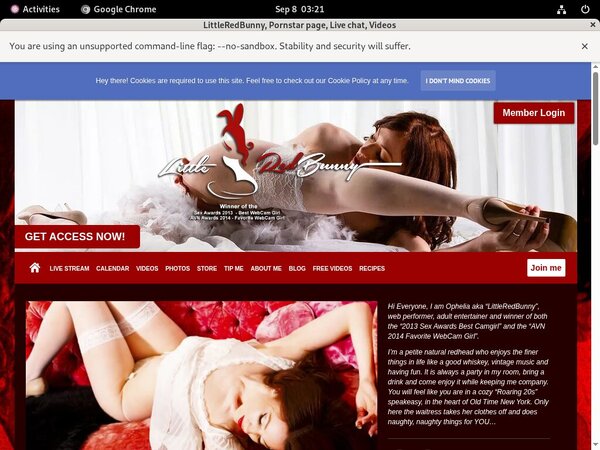 Littleredbunny.xxx Epochstats
