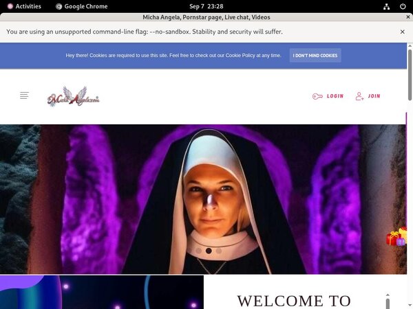 Passwords Michaangela.com Passwords Michaangela.com