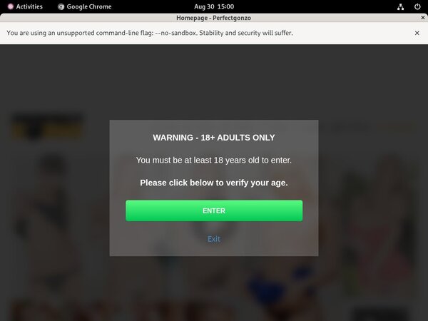 Perfectgonzo Account Discount