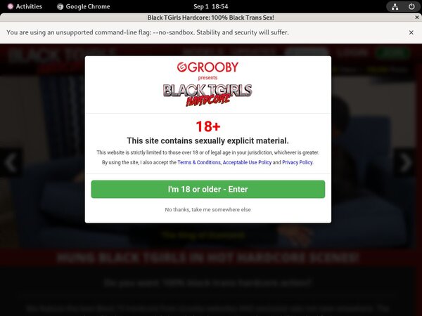 Premium Accounts Black TGirls Hardcore