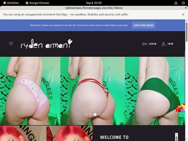 Rydenarmani Acc Free
