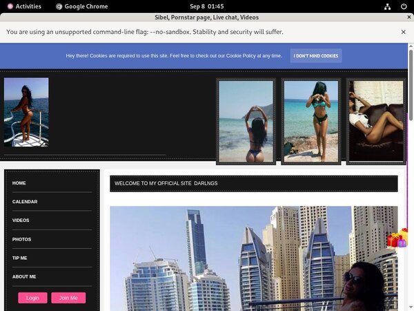 Sibel Get Free Trial
