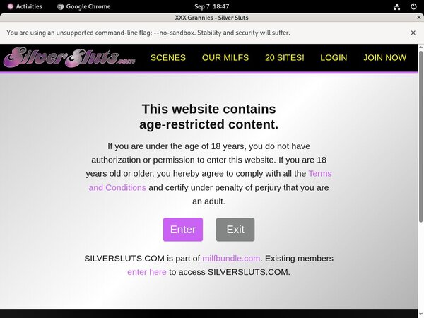 Silversluts.com With Pay Pal