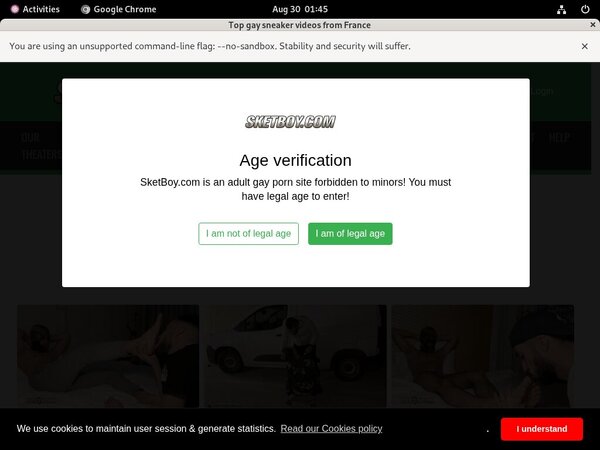 Sketboy Free Trial Link Sketboy Free Trial Link