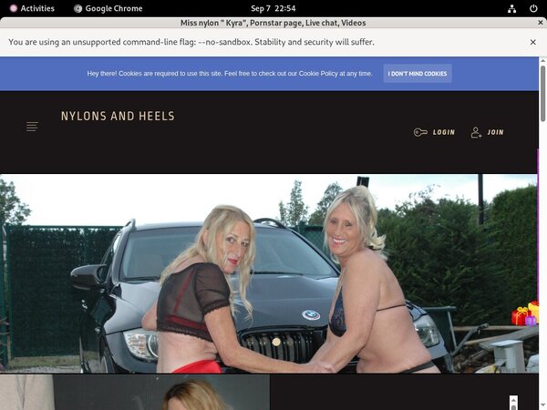 Stockingsandhighheels.com Gif