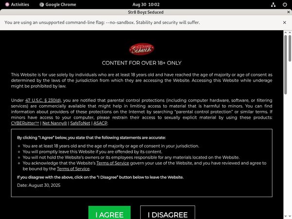 Str8 Boyz Seduced Home Page