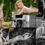 Subspace Land Trial Option Subspace Land Trial Option