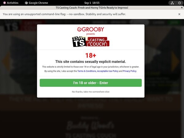 TS Casting Couch Vend-o.com