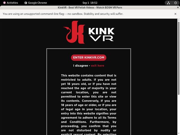 Trial Kinkvr Account