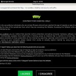 Twink Boys Party Films
