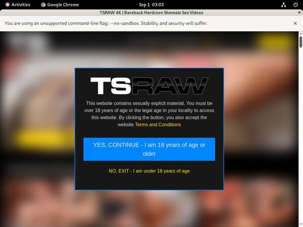 Using Paypal TS Raw