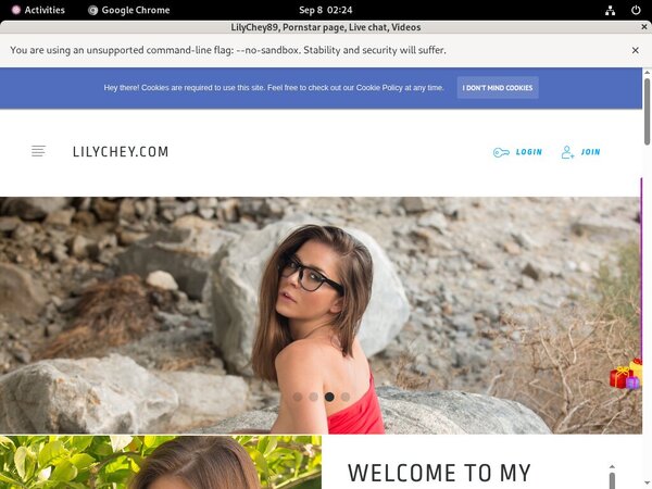 Who Is Lilychey.com