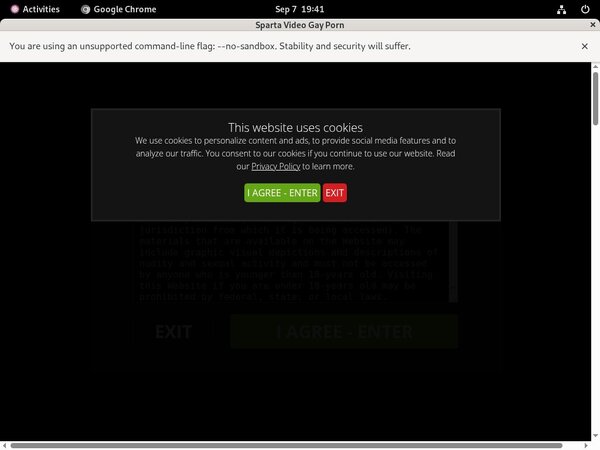 Who Is Sparta Video Who Is Sparta Video