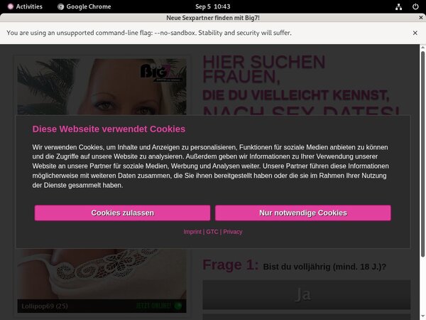 Your Secret Dream Login Generator