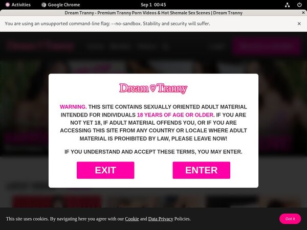 Password For Dreamtranny